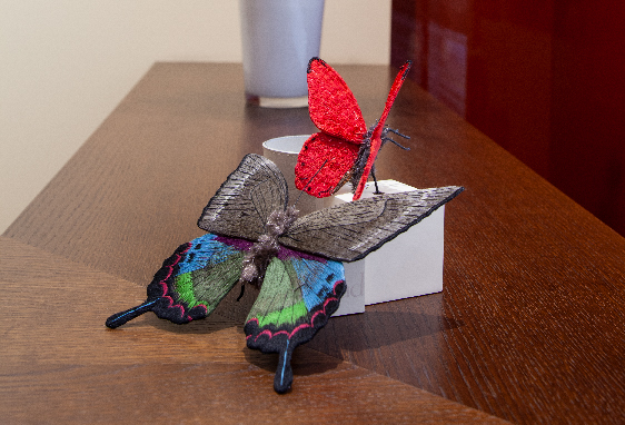 Collaboration artistique avec Yumi Okita